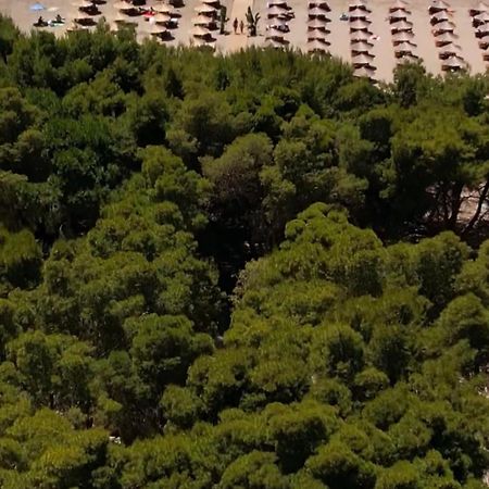 Relax Camping Vlore酒店 外观 照片
